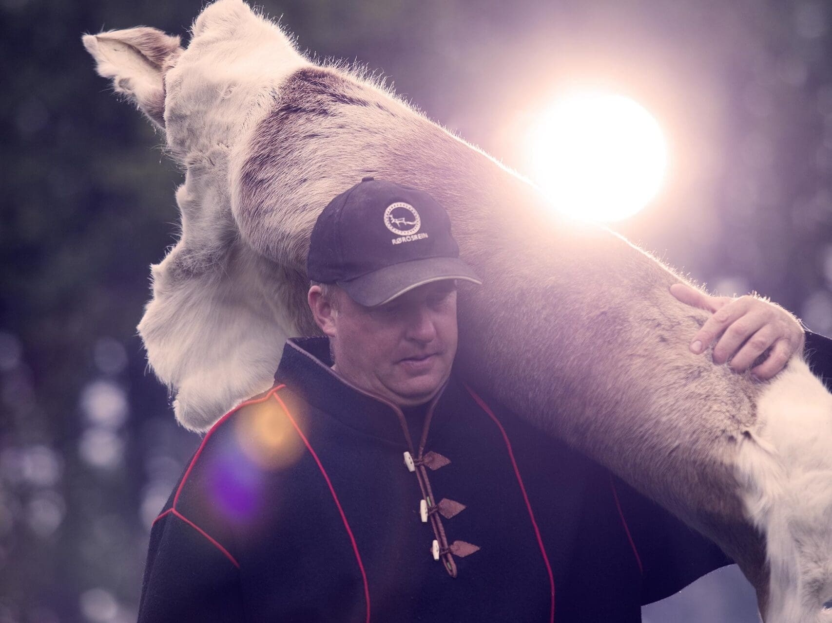 Rørosrein. Foto: Tom Gustavsen